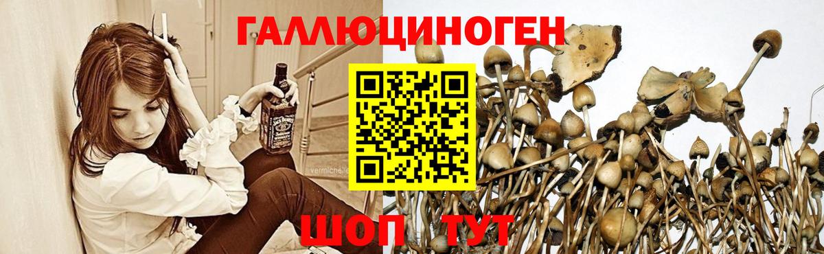 Псилоцибиновые грибы ЛСД Заводоуковск